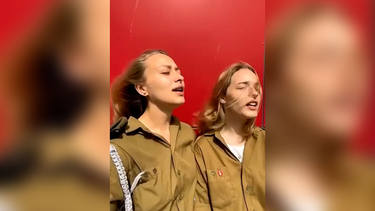 Посол Израиля удалил видео с гимном украинских националистов