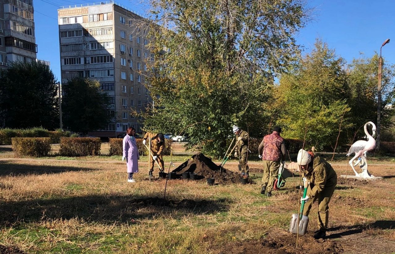 На Аллее детства в Оренбурге высадили липы и рябины