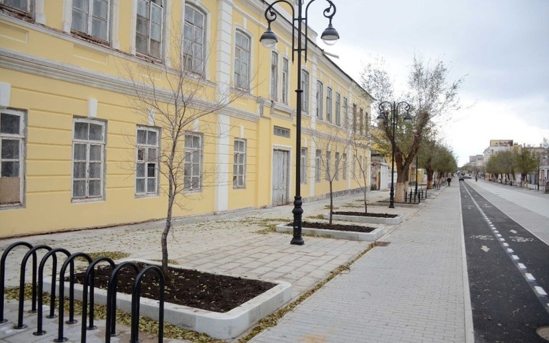 Молодые ясени украсили улицу Советскую в Оренбурге