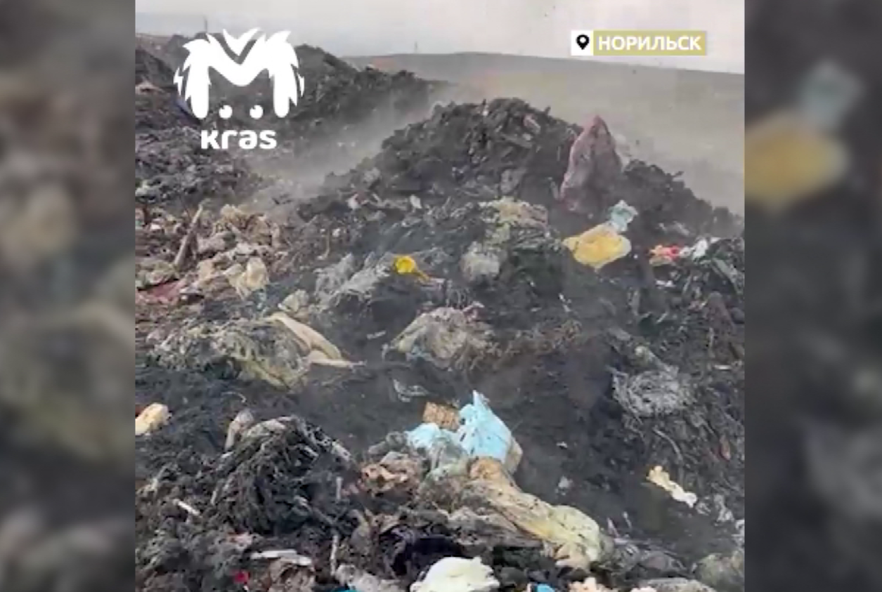 В Норильске завели три уголовных дела на директора коммерческой организации, которая занималась утилизацией отходов