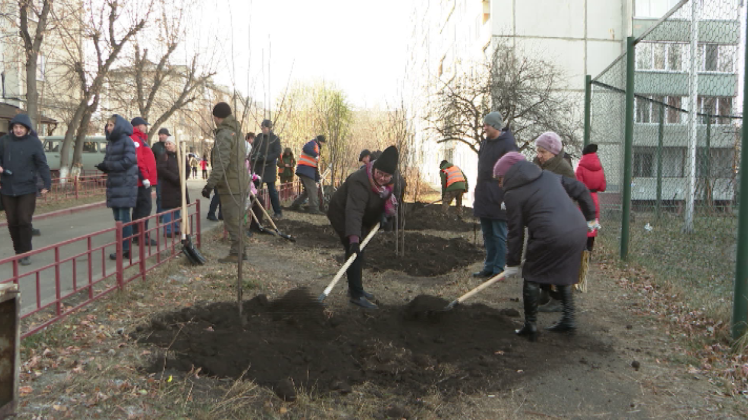 В Красноярске высадили 50 тысяч деревьев