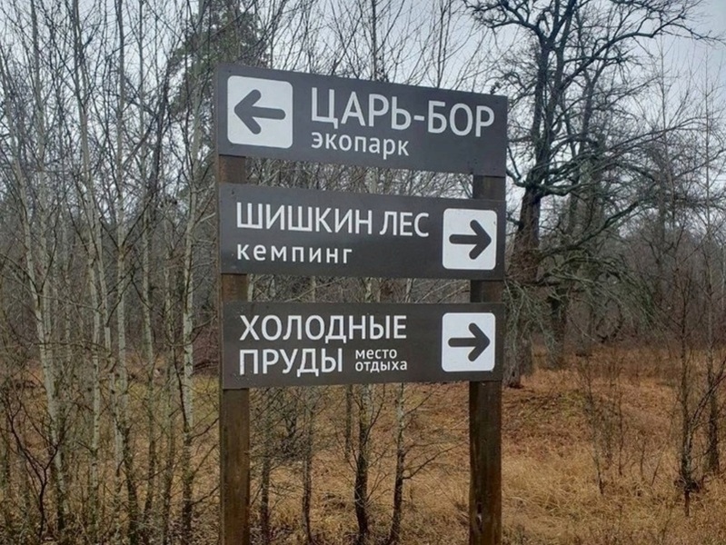К туристическим объектам в "Бузулукском бору" установили крупные указатели