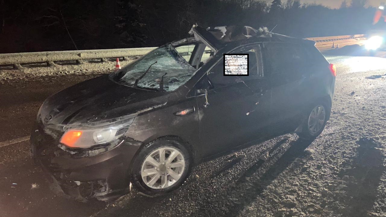 Лось устроил смертельную аварию в Ленинградской области