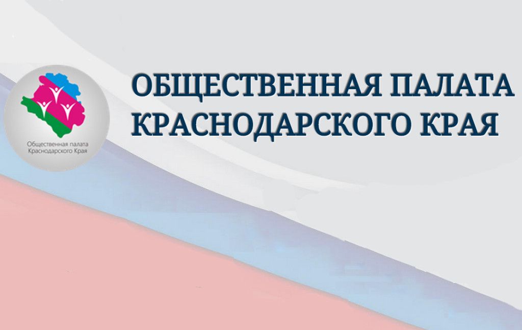 Общественная палата Кубани выберет лучших активистов в разных сферах