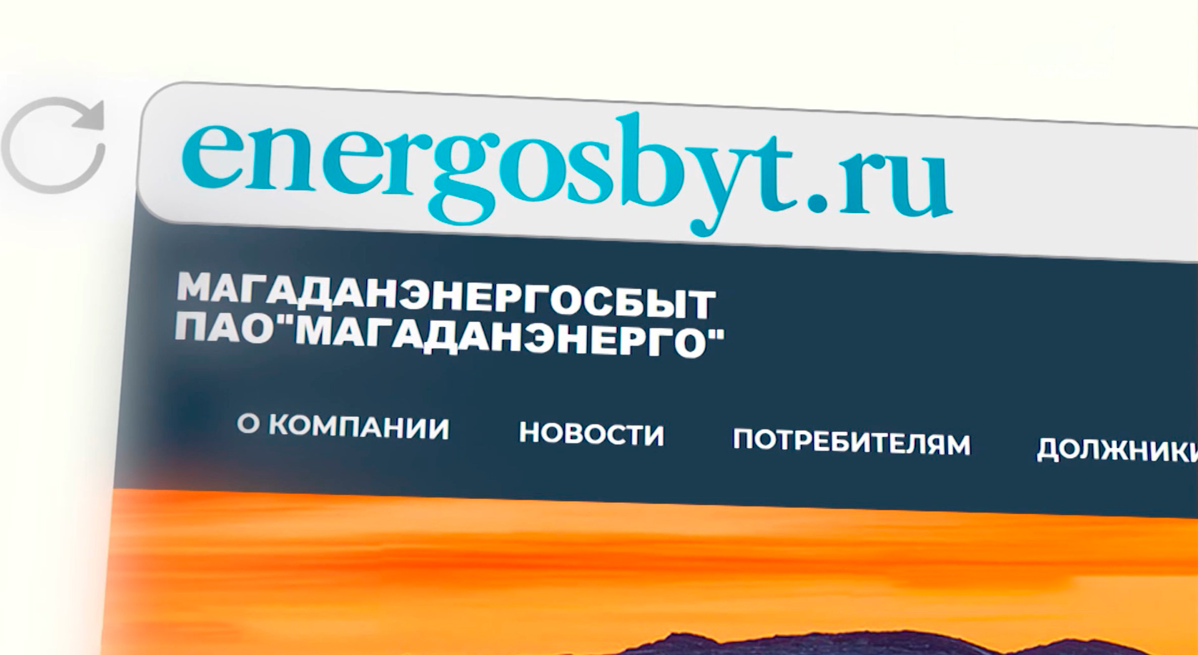 Магаданские энергетики пригласили всех спасать хвойные деревья