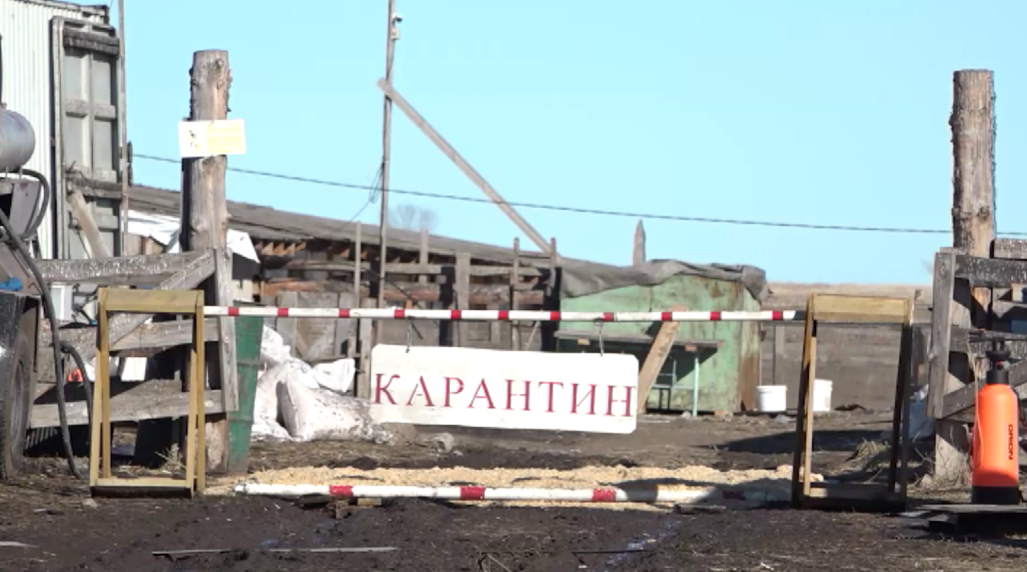 Трое фермеров на юге края требуют миллионы с виновника распространения опасного вируса