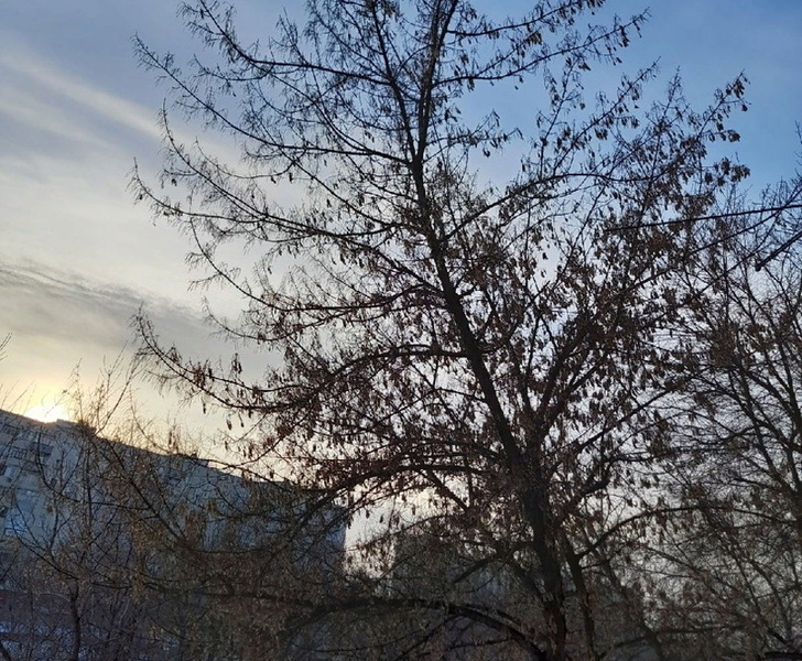 Не зимняя погода сохраняется в Оренбуржье 22 декабря