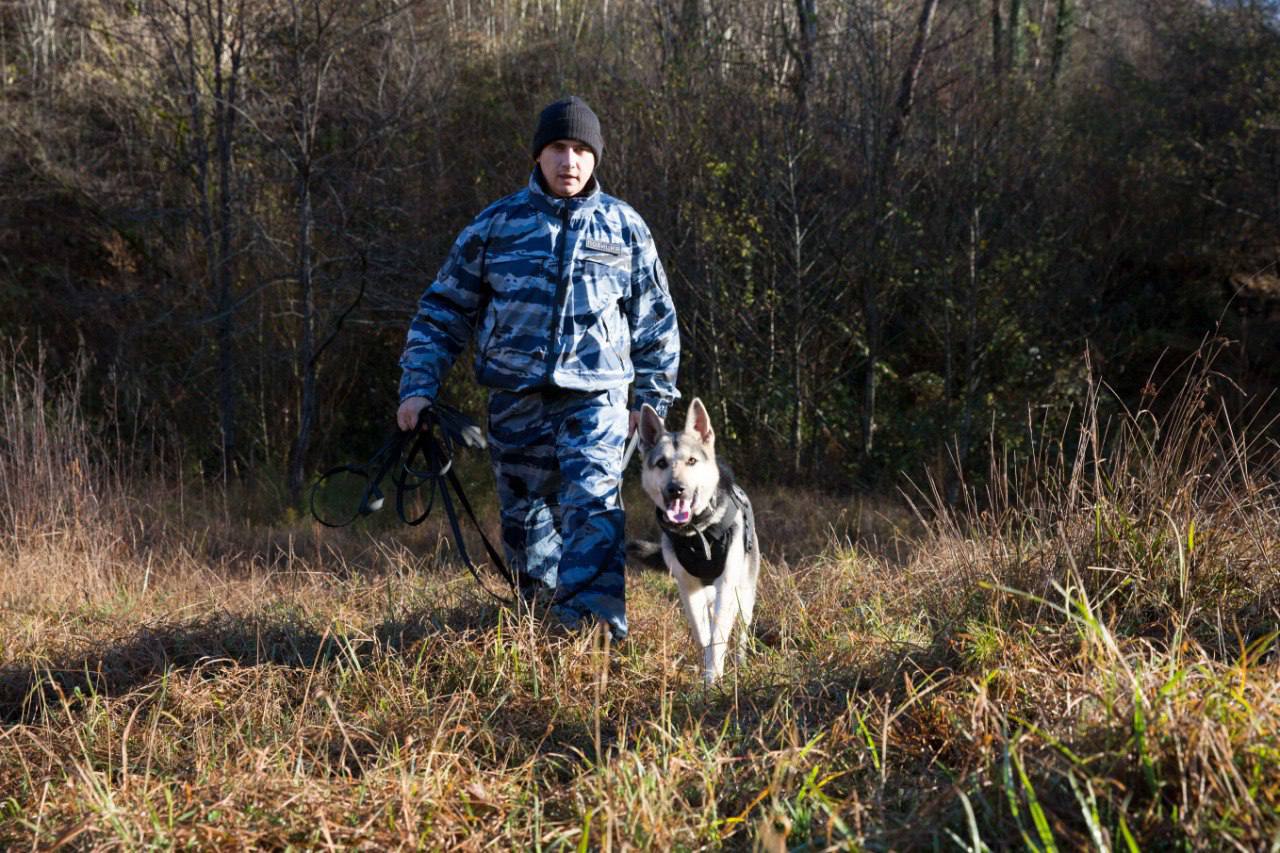 В Сочи прошли краевые соревнования кинологов