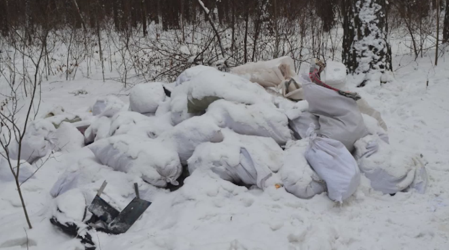 В Березовском районе Дедушка Мороз показал свалку в сосновом бору