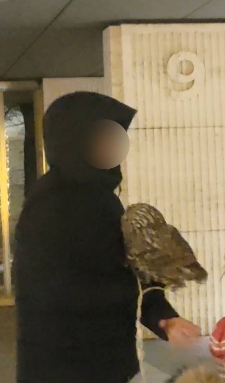 Мужчин с птицами в Краснодаре ищет полиция