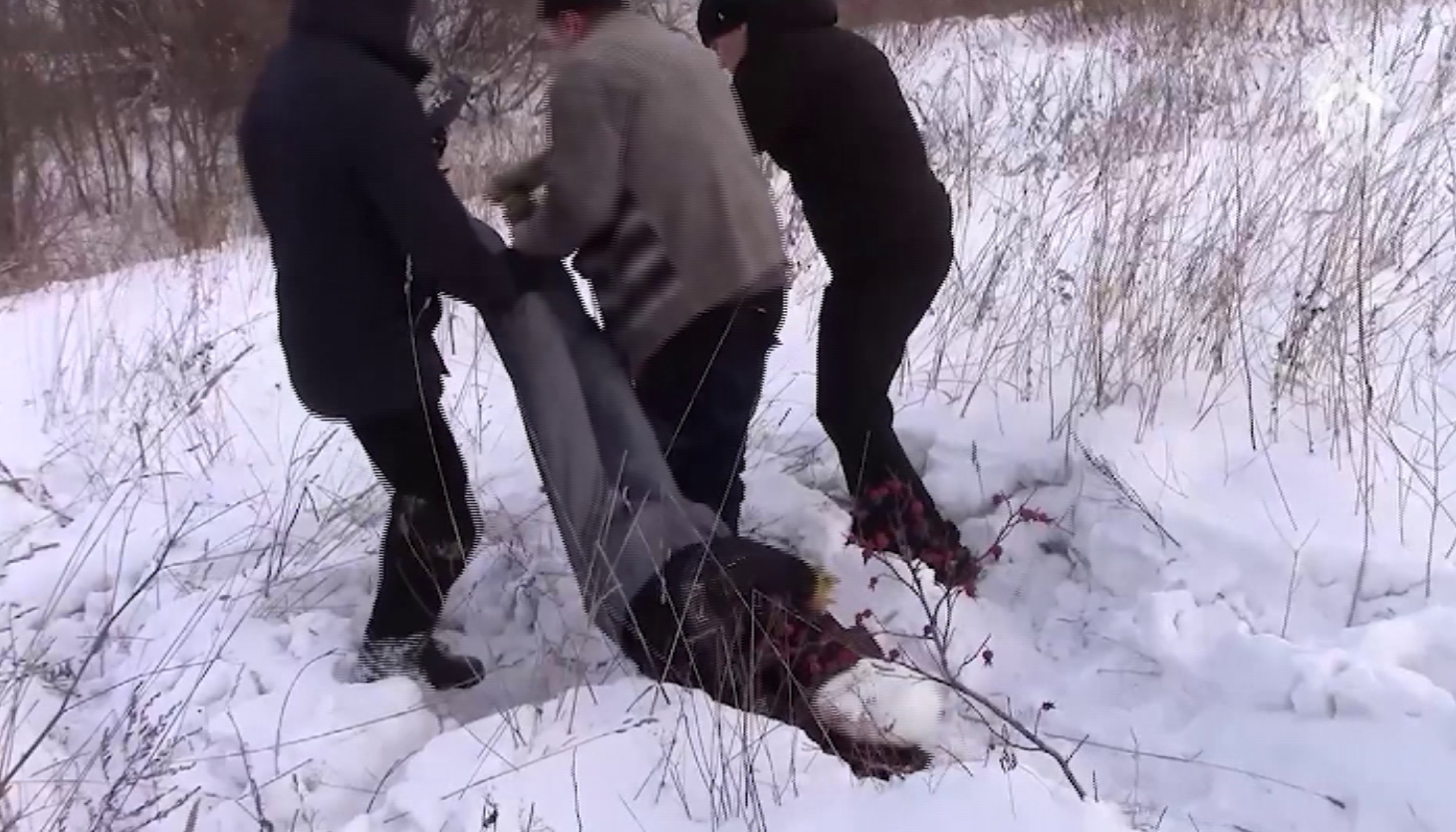 Житель Ачинска хотел избавиться от долга и пошел на убийство