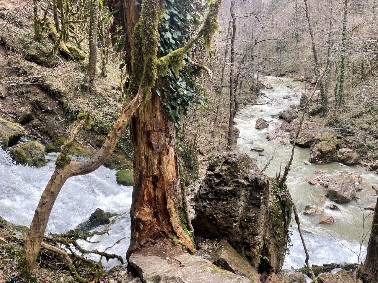 На Кубани ещё пару дней будет тепло