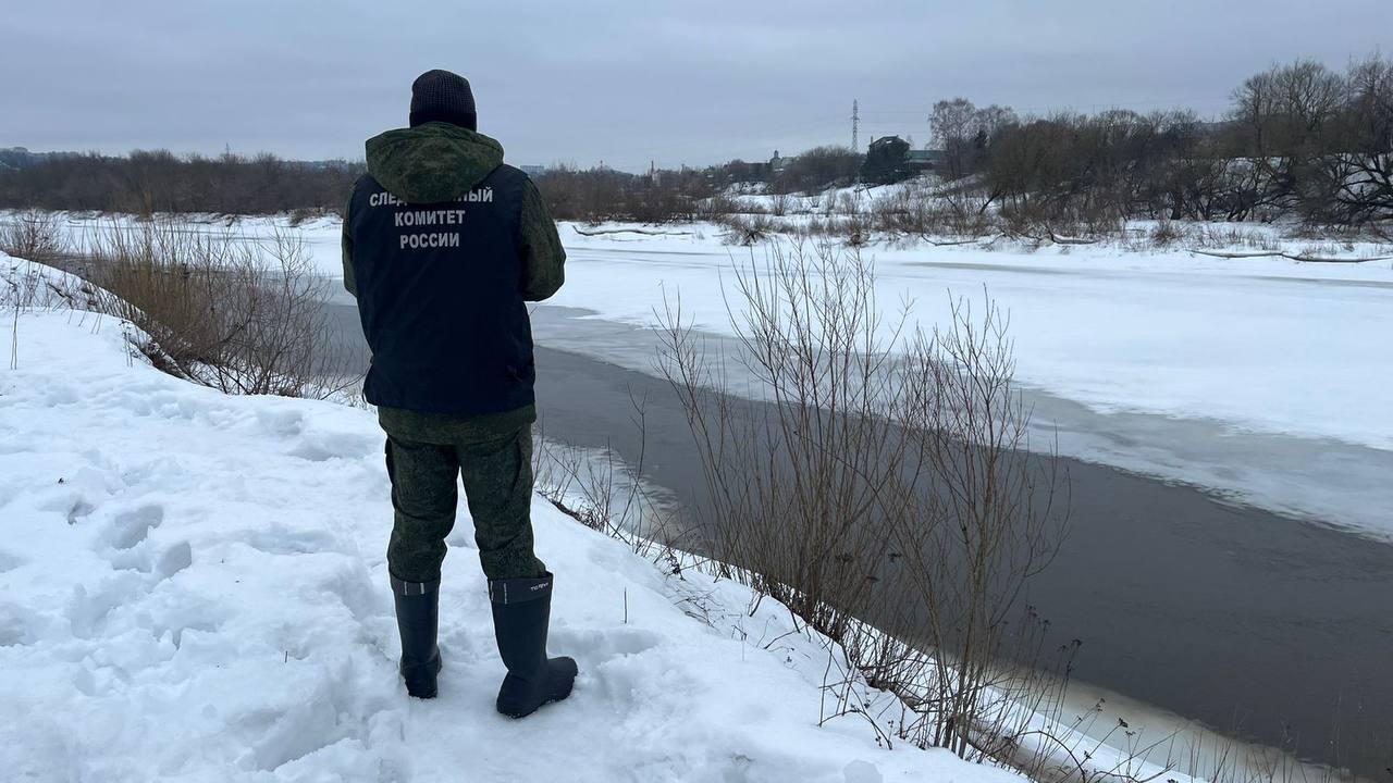Два мальчика провалились под лед в Смоленске