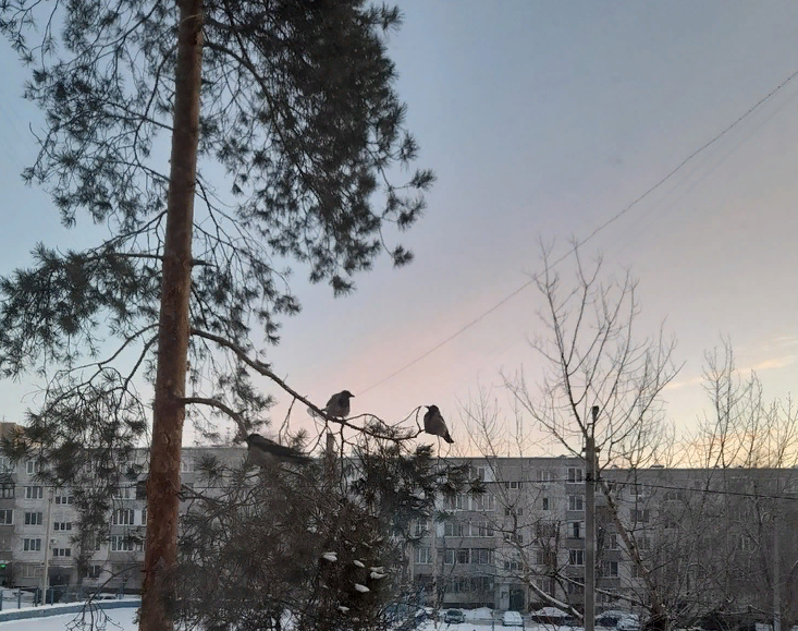 27 февраля в Оренбуржье прогнозируют погоду без осадков