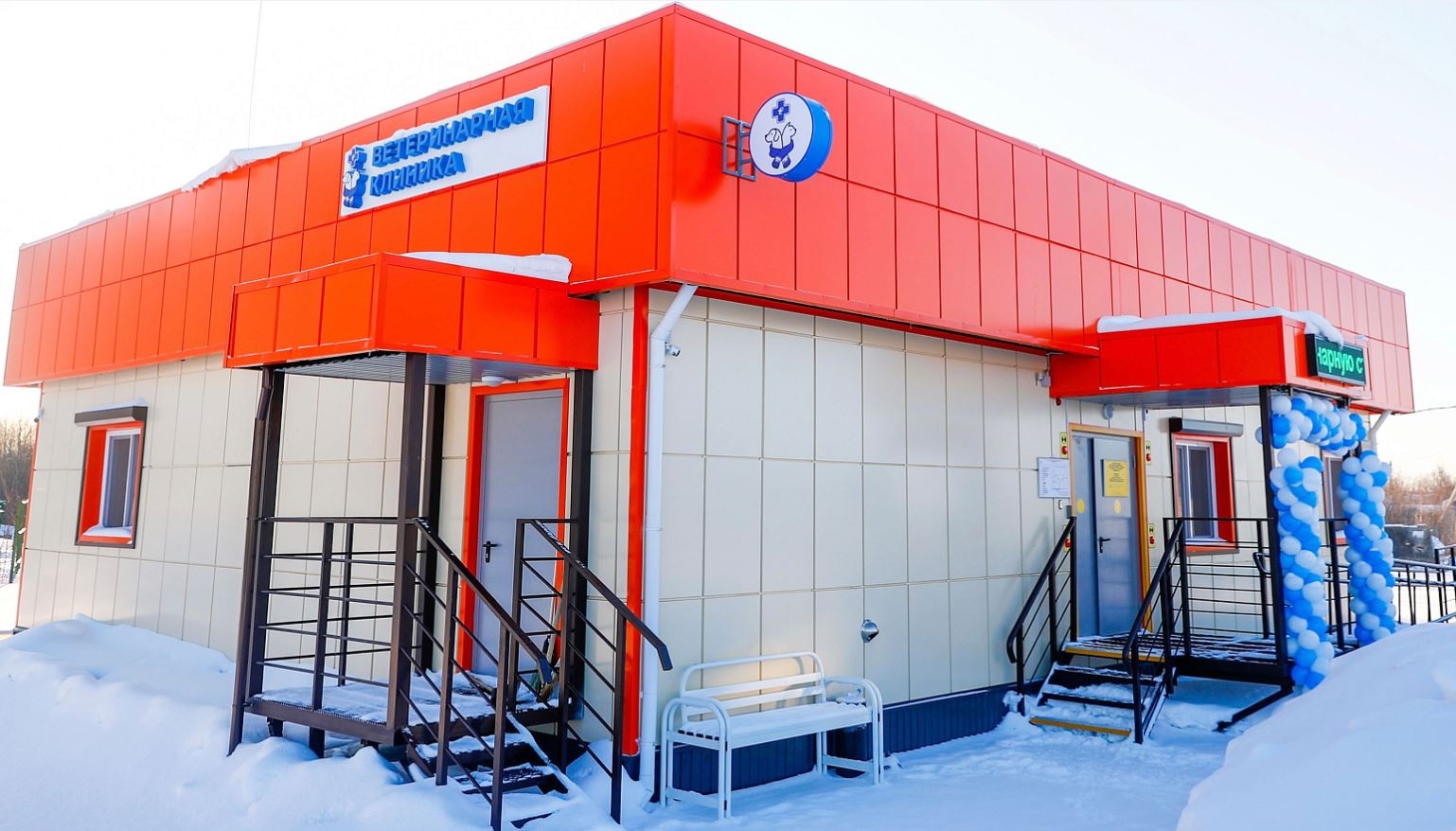 Новая ветеринарная клиника в Надыме открыла свои двери