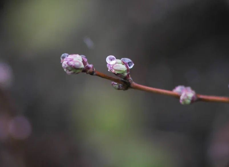На Кубани было бы тепло, если бы не холодный ветер