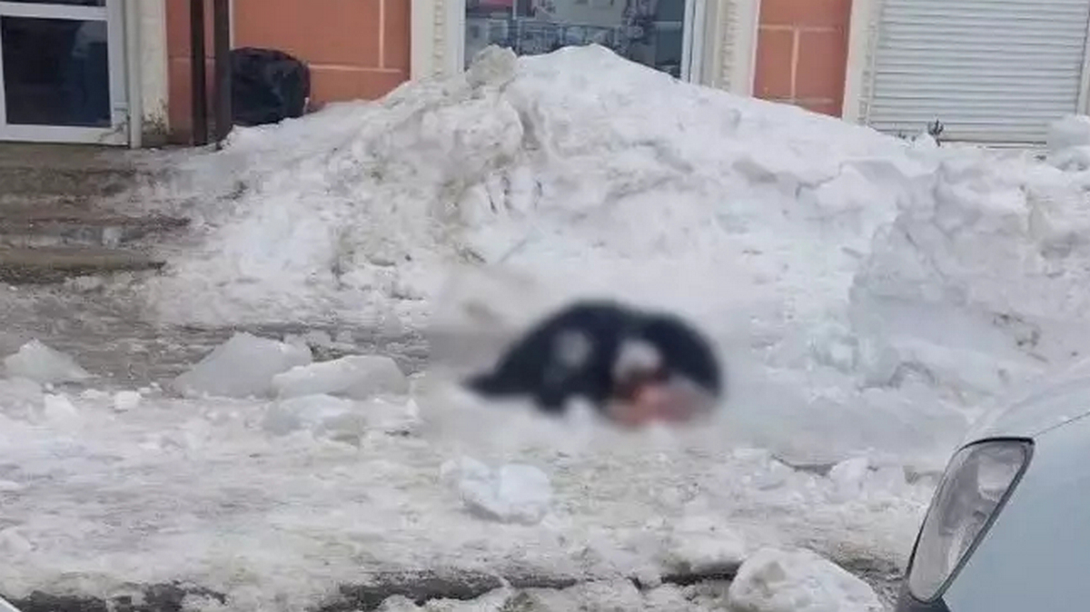Девушку убило глыбой льда в Березниках