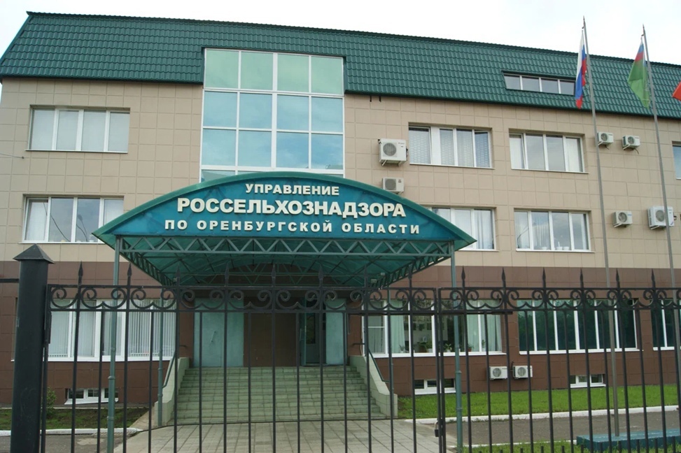 В Оренбуржье не пропустили рыбу и сливочное масло из Казахстана