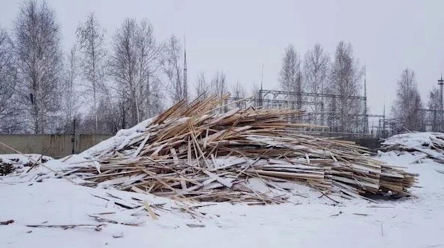 В Красноярском крае расхищали леса