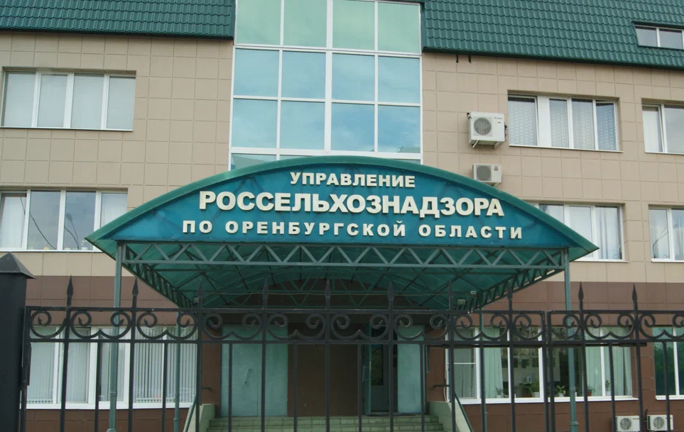 В Оренбуржье поставили более 180 тонн молочной продукции с фантомной площадки