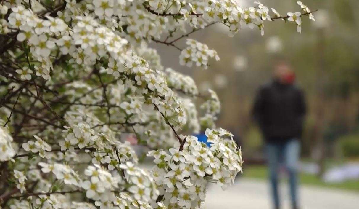 На Кубани тёплая весенняя погода