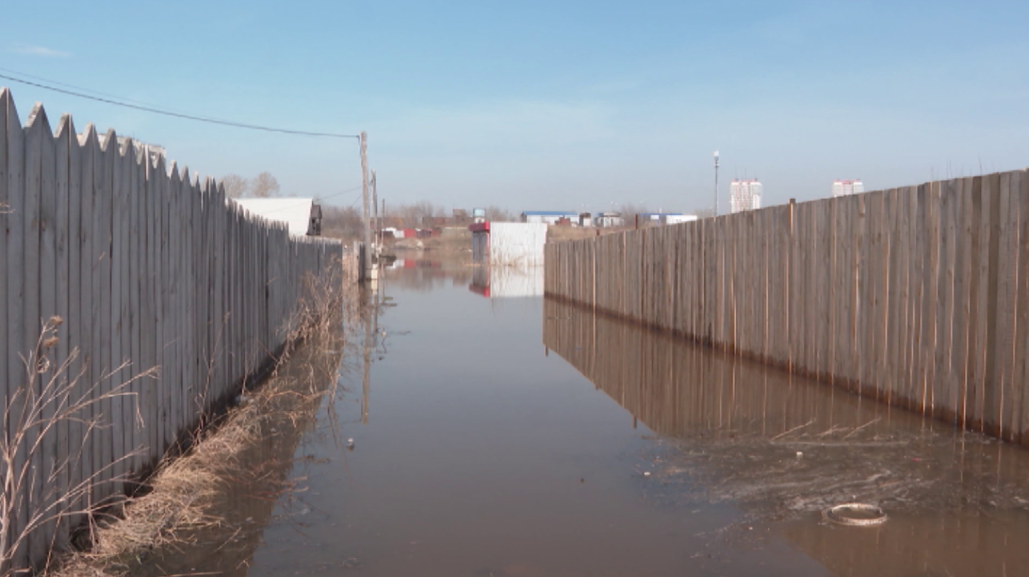 В красноярских Черемушках садовое товарищество ушло под воду