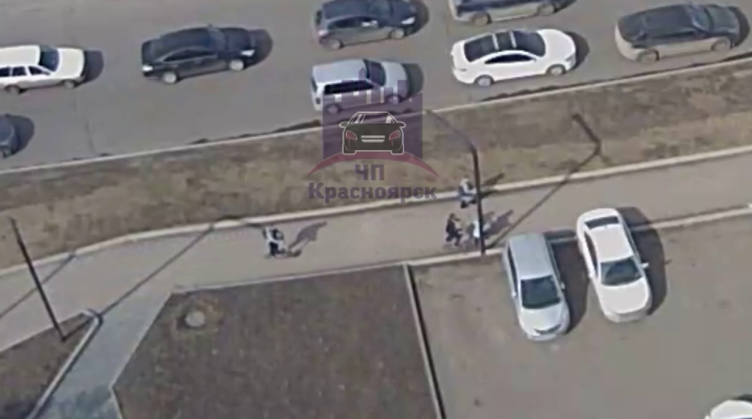 В Красноярске, на проспекте Красноярский рабочий, самокатчик сбил 7-летнюю девочку