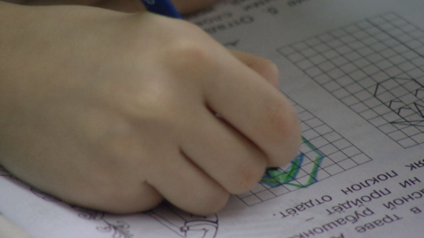 "День родительского учительства" прошел в Красноярске