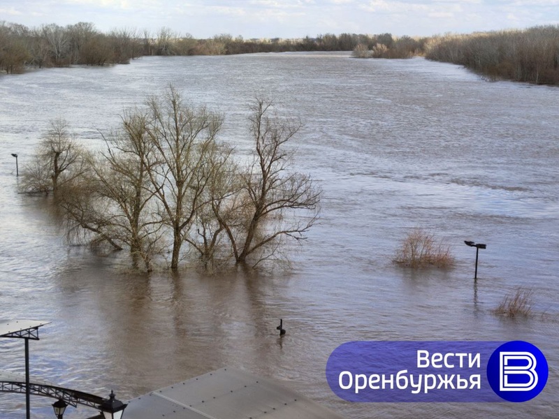 Дождь и грозу прогнозируют в Оренбуржье 16 апреля