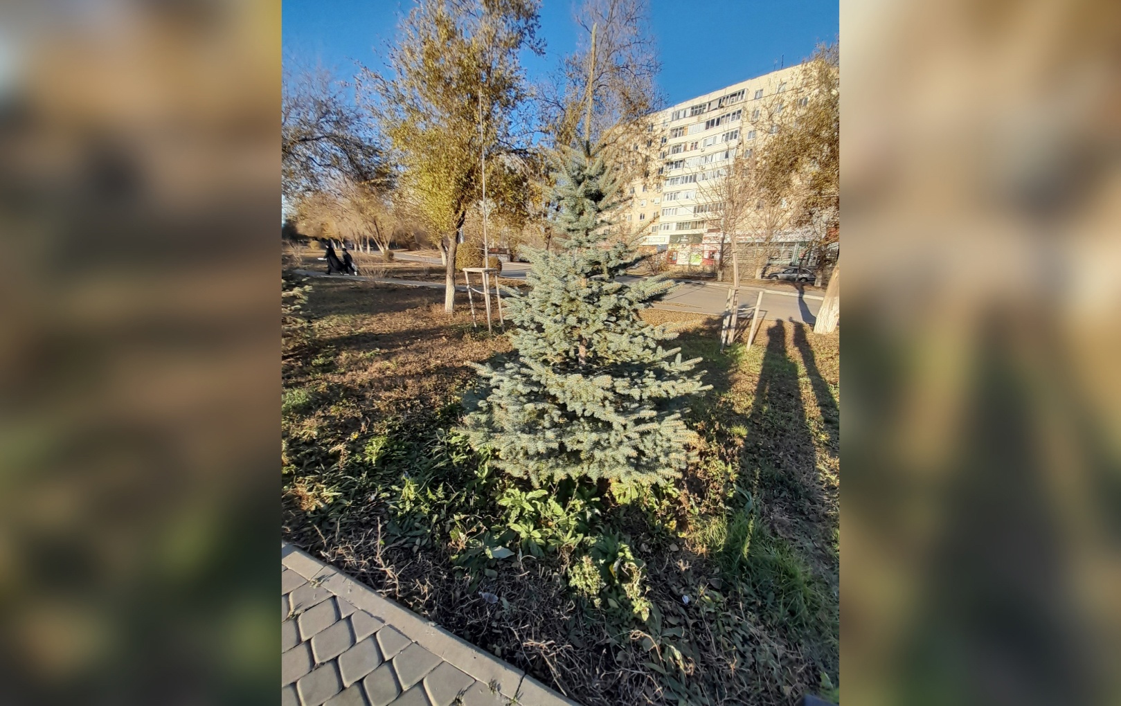 Оренбуржцев предупреждают об аномальной жаре в апреле
