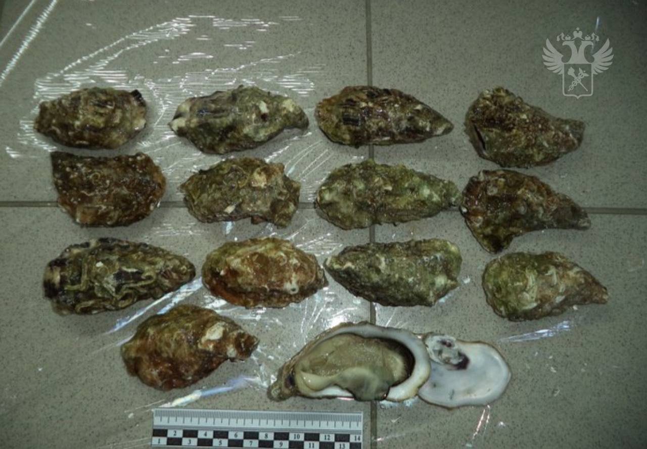 Смоленские таможенники нашли 700 килограммов морепродуктов в фуре с мебелью