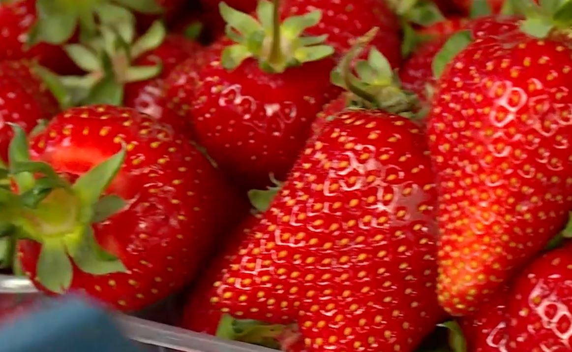 На Кубани становится всё теплее и теплее