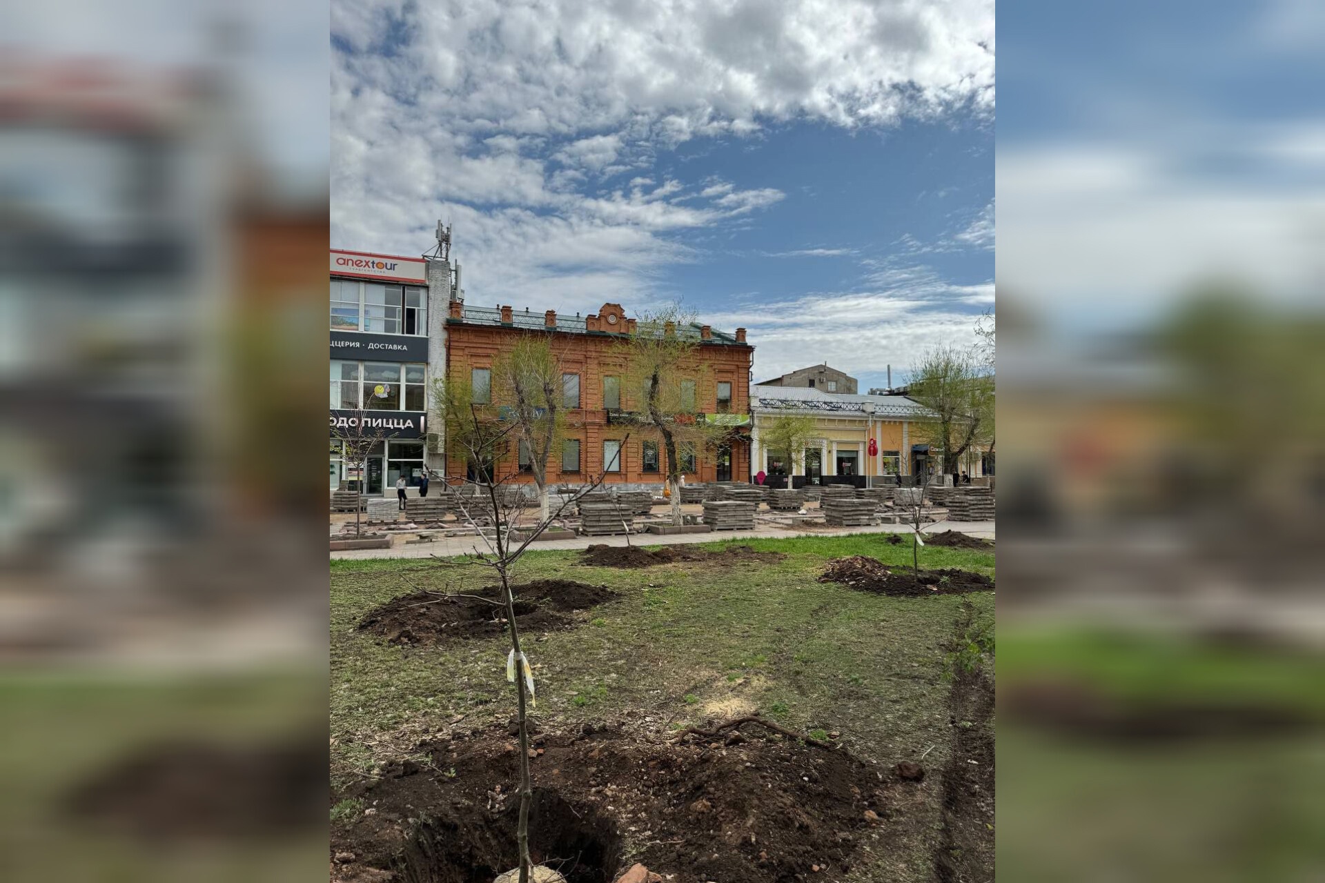 В Оренбурге высадили красные дубы в сквере на ул. Советской