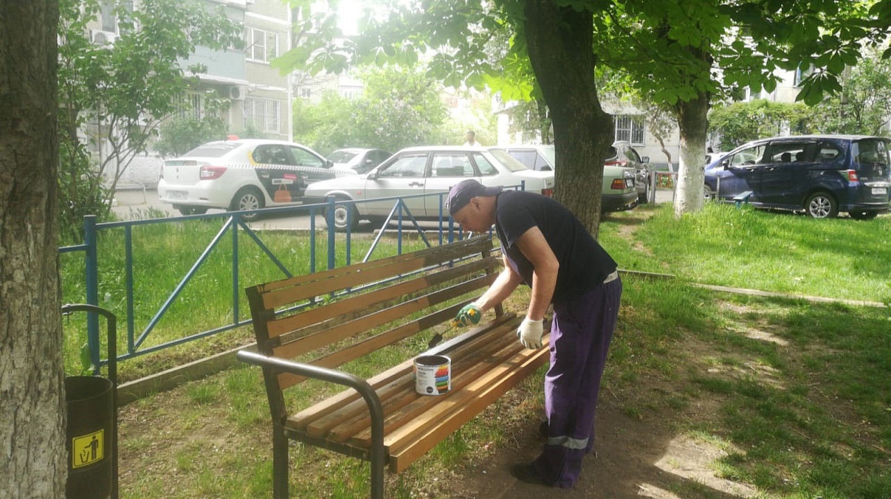 Больше 5000 деревьев и кустарников высадили в Краснодаре за два месяца