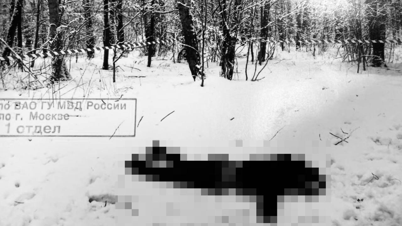 В Москве раскрыли новогоднее убийство 12-летней давности