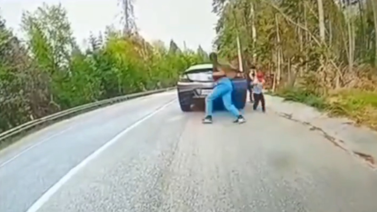 Момент падения дерева на ребенка в Домбае попал на видео