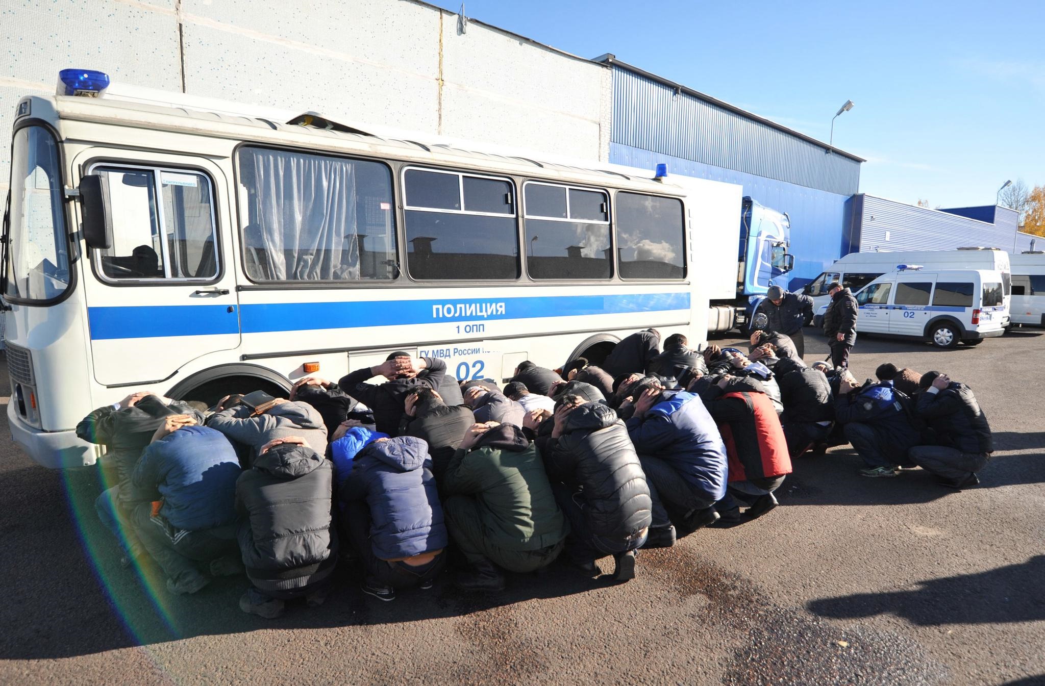 На Кубани поймали шесть десятков нелегалов