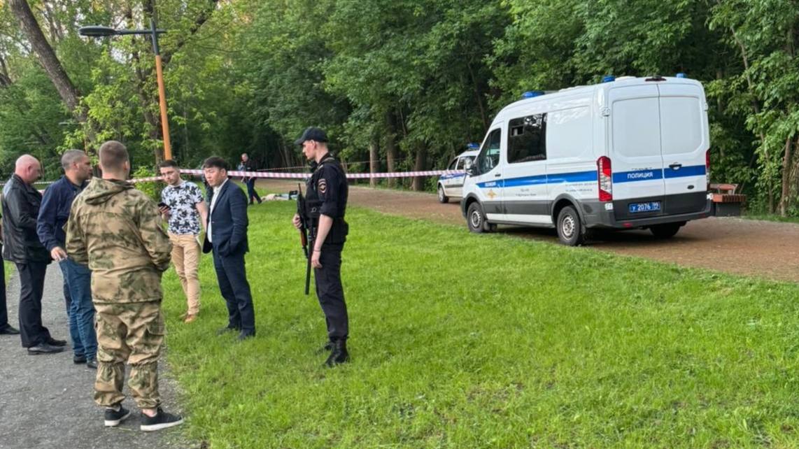 Подозреваемый в убийстве в Кусковском парке сам пришел в полицию