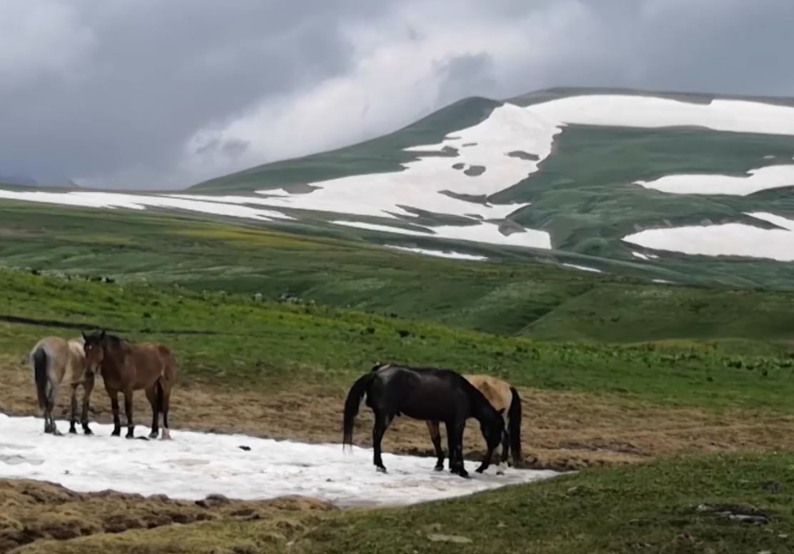 Выходные на Кубани начнутся с грозовых дождей