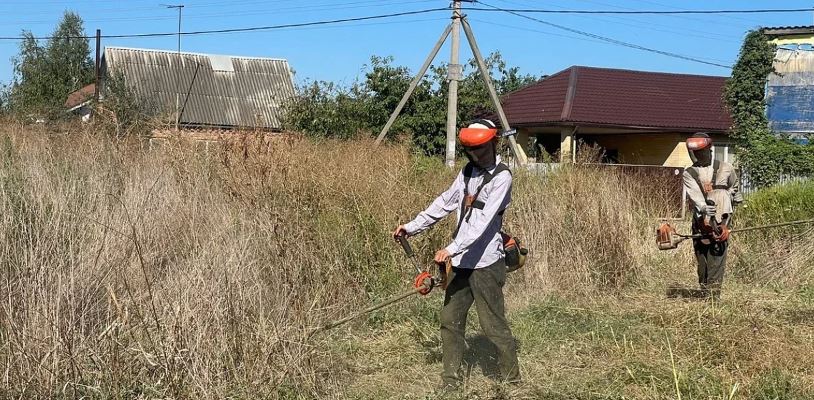 В Краснодаре скосили сорняки на шести тысячах гектаров