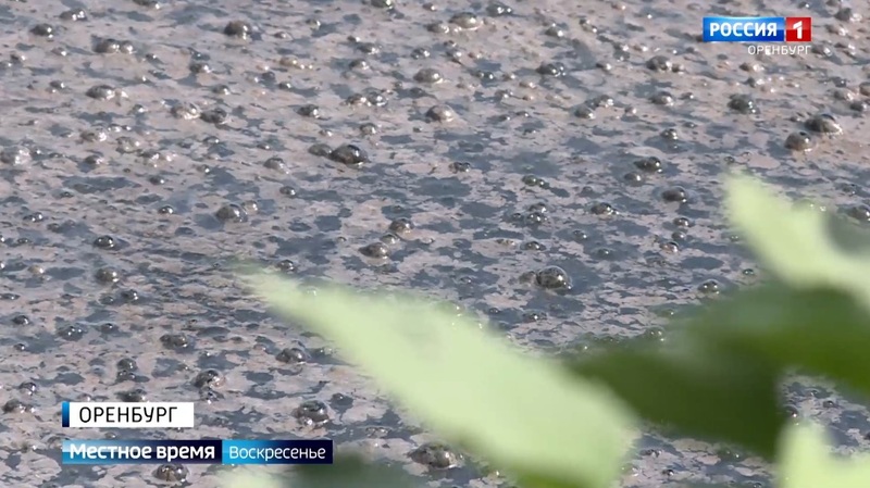 Вонь с иловых полей: под Оренбургом организуют регулярный экомониторинг