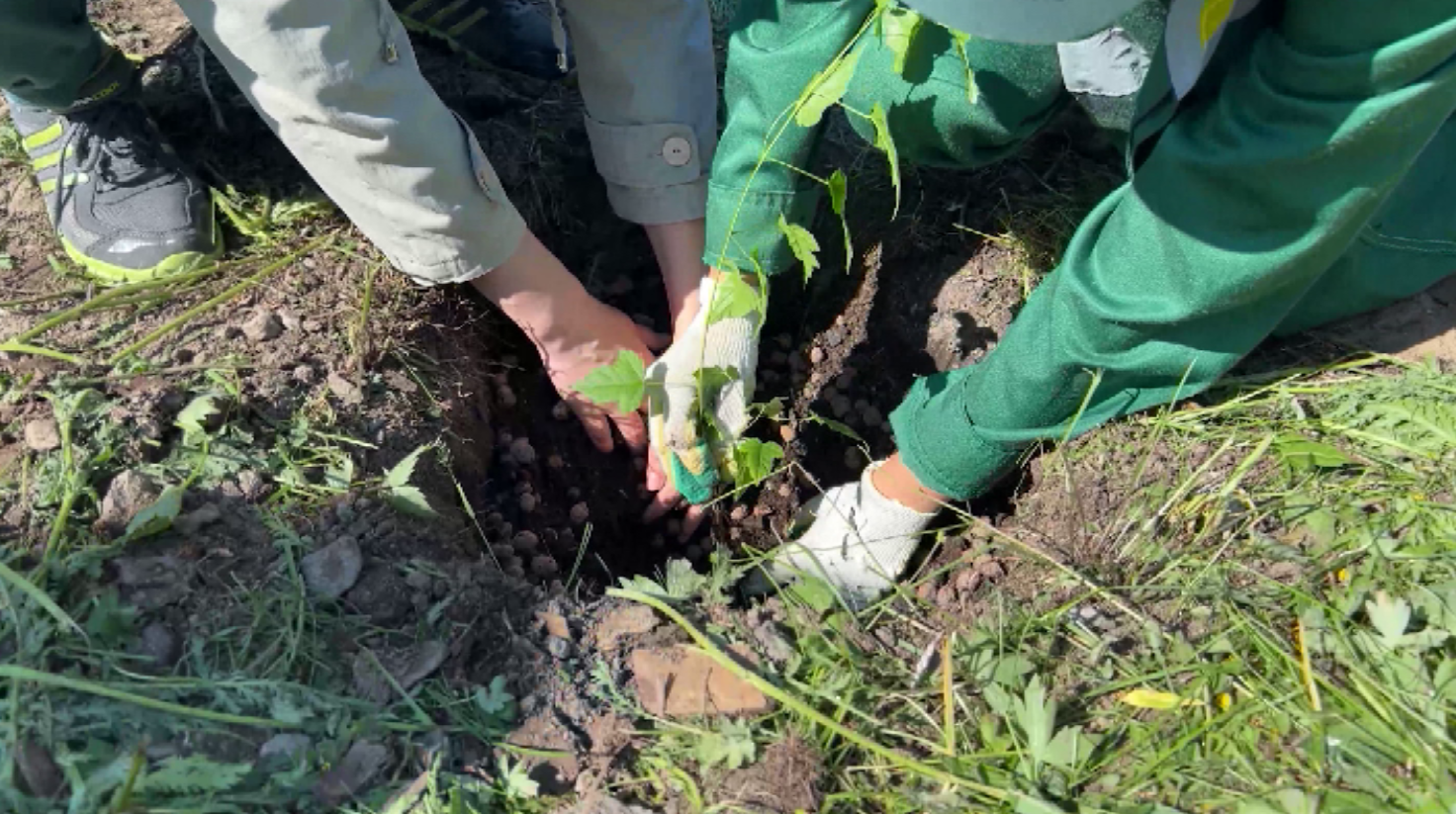 В Дудинке скоро появится сквер русского полярного исследователя Харитона Лаптева