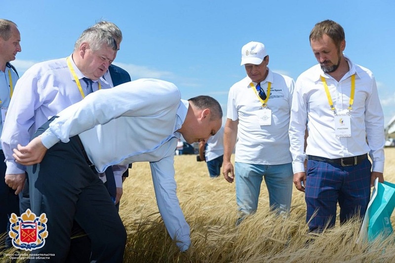 В Оренбуржье продолжают создавать дополнительные мощности для хранения зерна