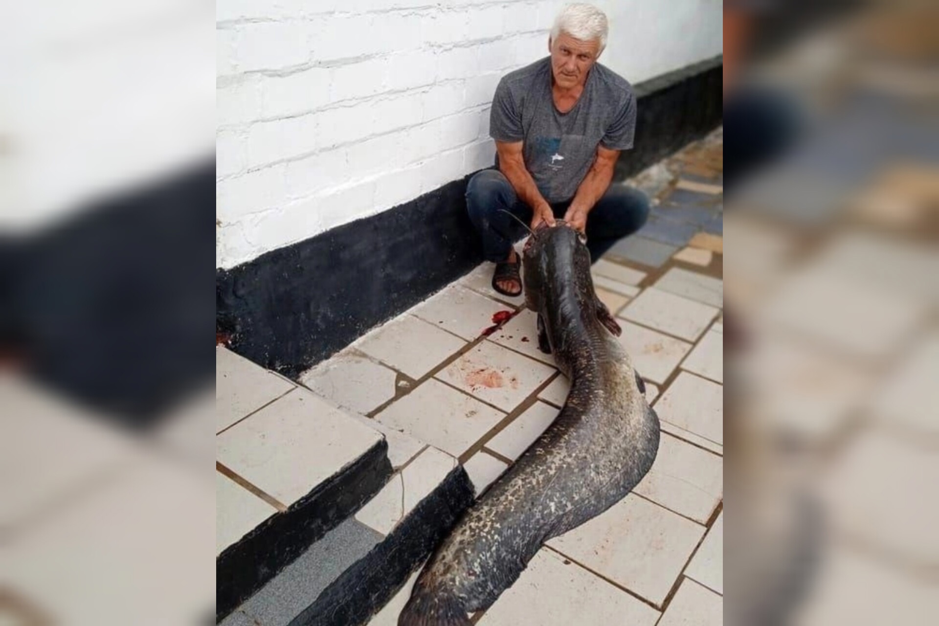 Сома весом более 27 килограммов поймал житель села Гамалеевки