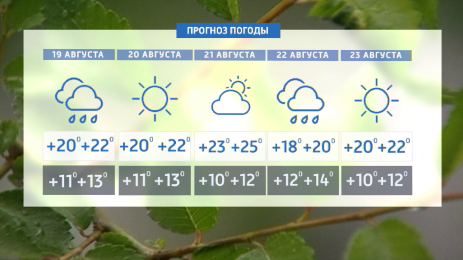 Жара отступает: выходные выдались для красноярцев непривычно прохладными