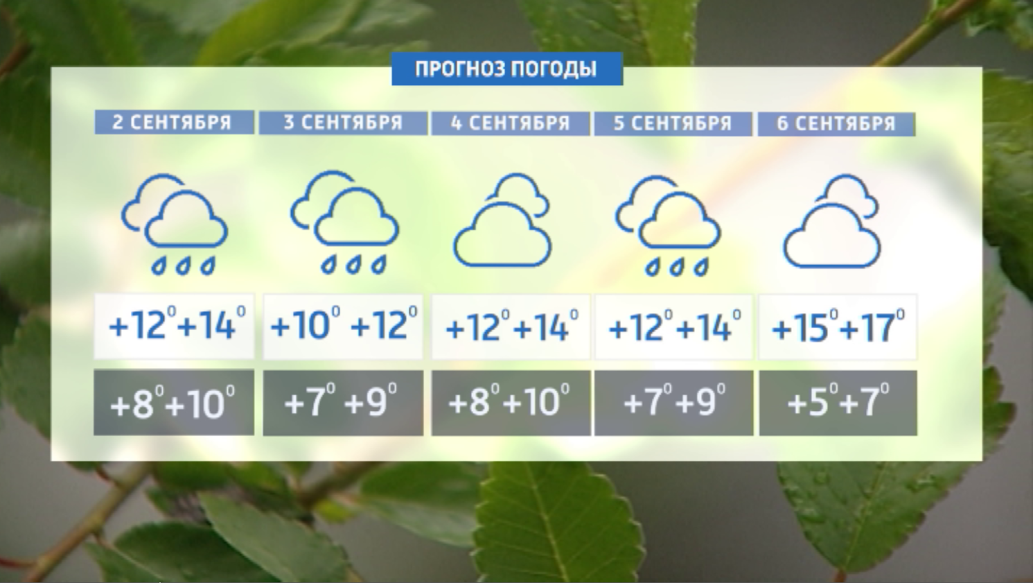 Прогноз погоды на первую неделю осени