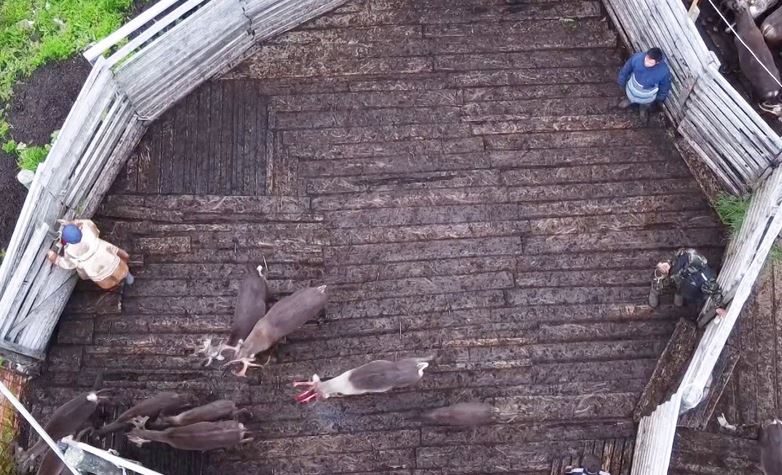 В Приуралье началась главная заготовительная кампания сезона