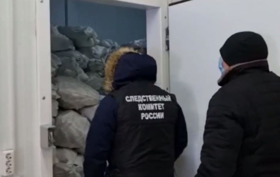 На Ямале председателя общины обвиняют в сбыте немаркированной рыбы