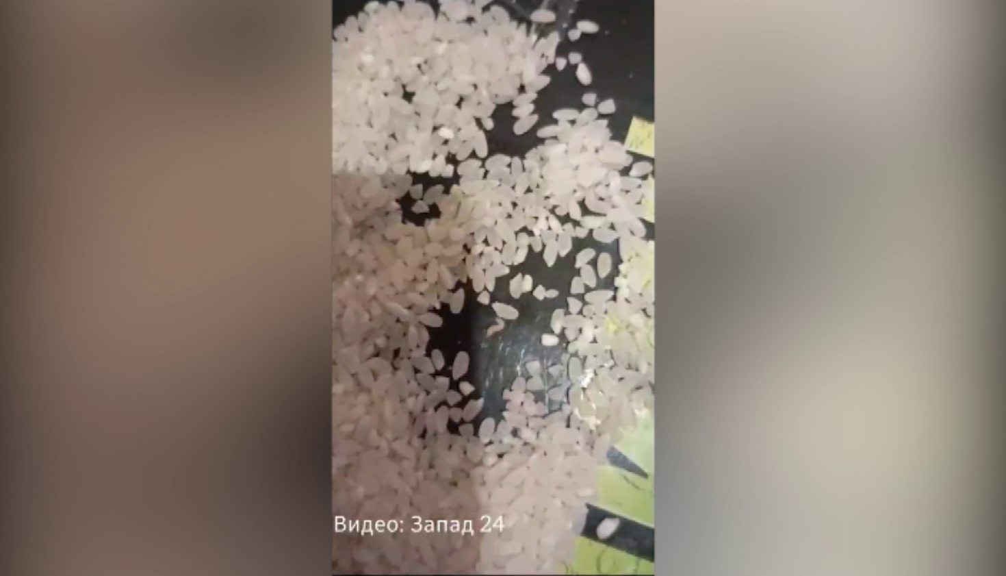 Жительница Ачинска купила в одном из дискаунтеров "Хороший" пачку риса с личинками моли