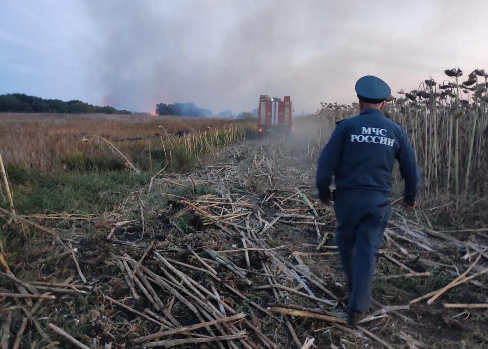 В Тамбовской области тушат пожар, повредивший 44 строения